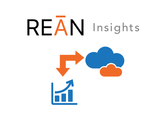 REAN Insights