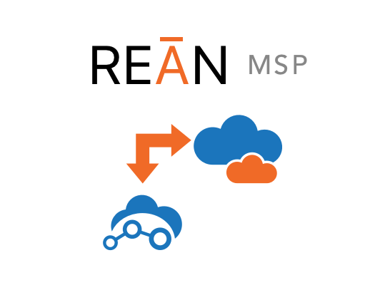 REAN Managed Service Provider