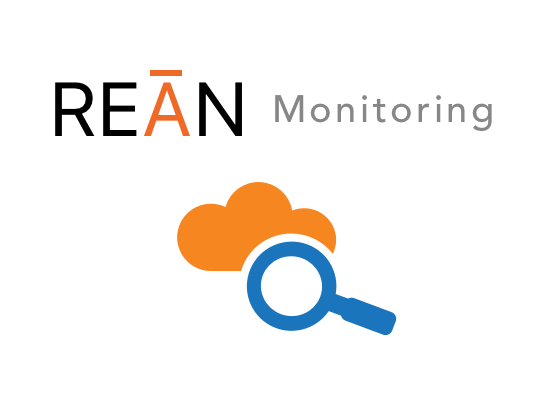 REAN Monitoring